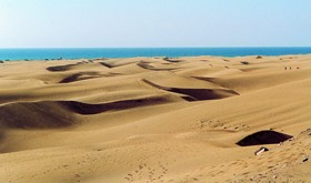 Kradblatt &#8211; Staging